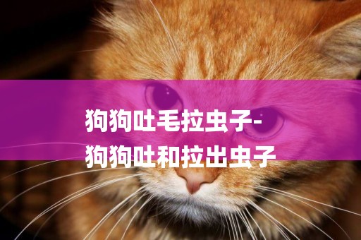 狗狗吐毛拉蟲子-
狗狗吐和拉出蟲子