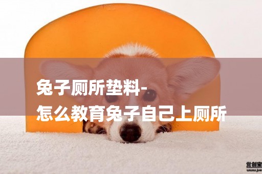 兔子廁所墊料-
怎么教育兔子自己上廁所