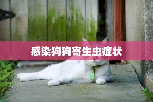 感染狗狗寄生蟲癥狀