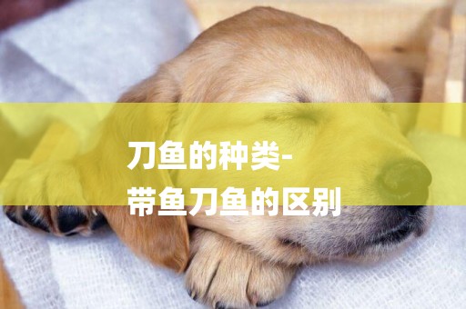 刀魚的種類-
帶魚刀魚的區別