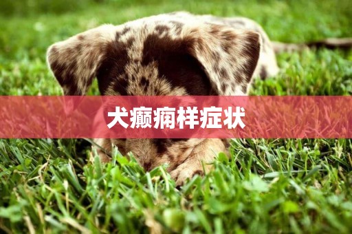 犬癲癇樣癥狀