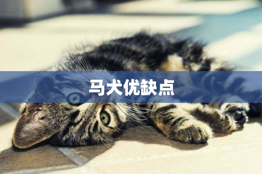 馬犬優缺點