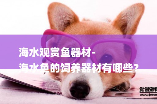 海水觀賞魚器材-
海水魚的飼養器材有哪些？