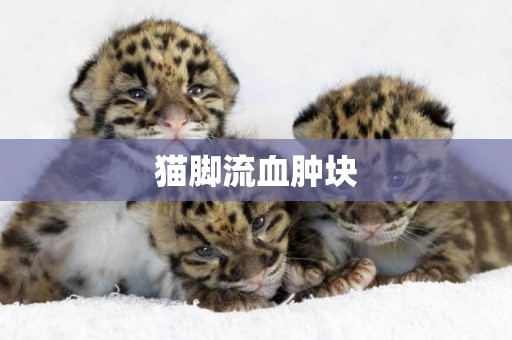 貓腳流血腫塊