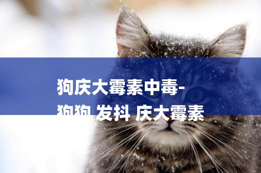 狗慶大霉素中毒-
狗狗 發抖 慶大霉素