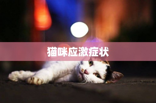 貓咪應激癥狀