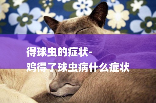 得球蟲的癥狀-
雞得了球蟲病什么癥狀