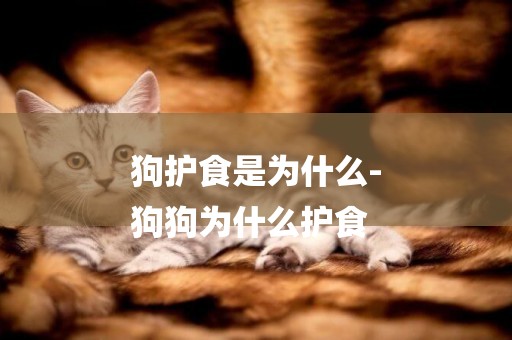 狗護食是為什么-
狗狗為什么護食