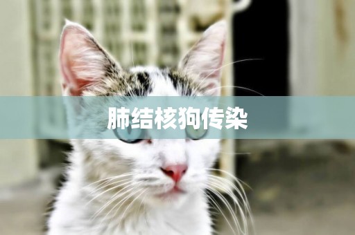 肺結核狗傳染