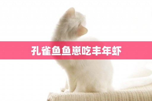 孔雀魚魚崽吃豐年蝦