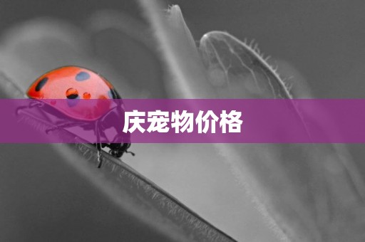 慶寵物價格