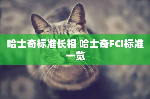 哈士奇標準長相 哈士奇FCI標準一覽