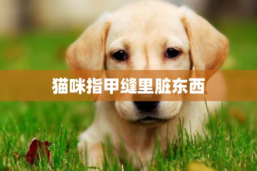 貓咪指甲縫里臟東西