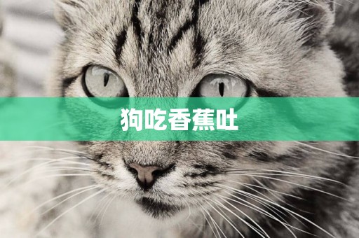 狗吃香蕉吐