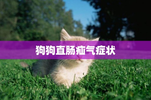 狗狗直腸疝氣癥狀