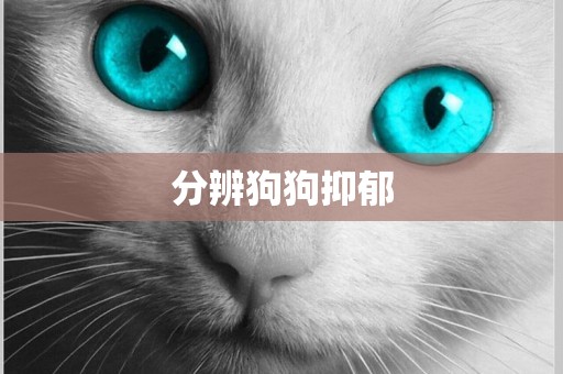 分辨狗狗抑郁