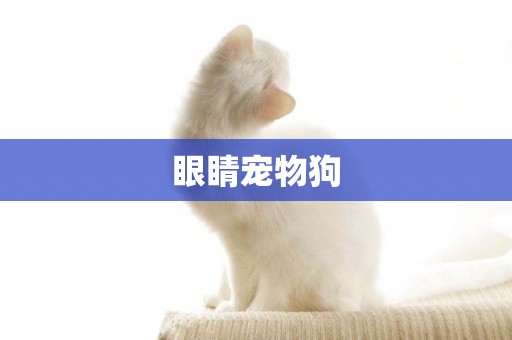 眼睛寵物狗