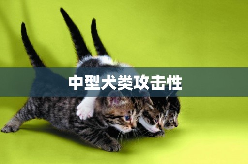 中型犬類攻擊性