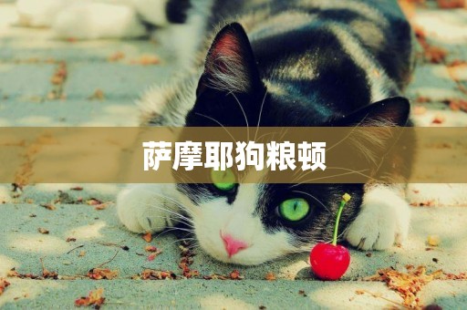 薩摩耶狗糧頓