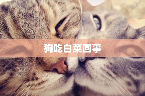 狗吃白菜回事