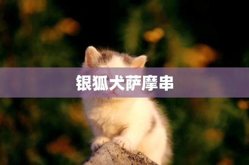 銀狐犬薩摩串