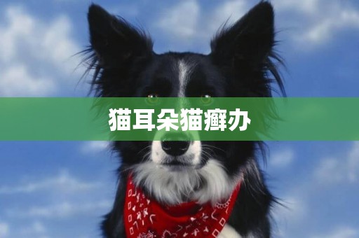 貓耳朵貓癬辦
