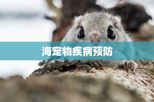 海寵物疾病預防