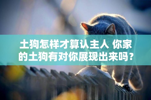 土狗怎樣才算認主人 你家的土狗有對你展現出來嗎？