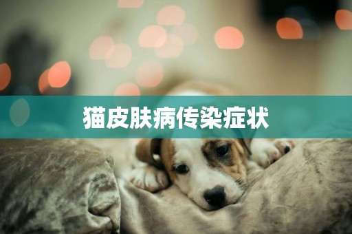 貓皮膚病傳染癥狀