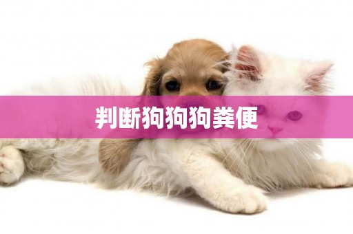 判斷狗狗狗糞便