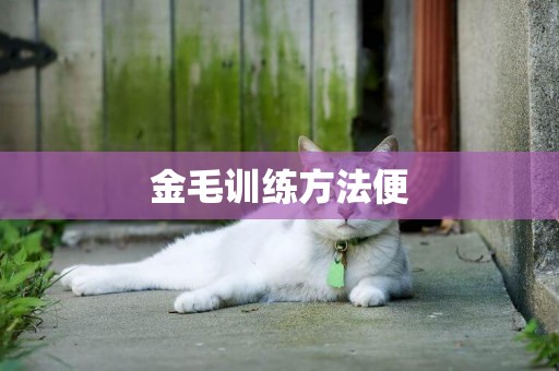 金毛訓練方法便