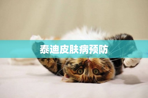 泰迪皮膚病預防