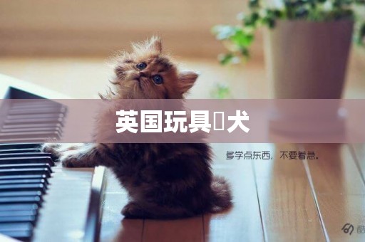 英國玩具獚犬