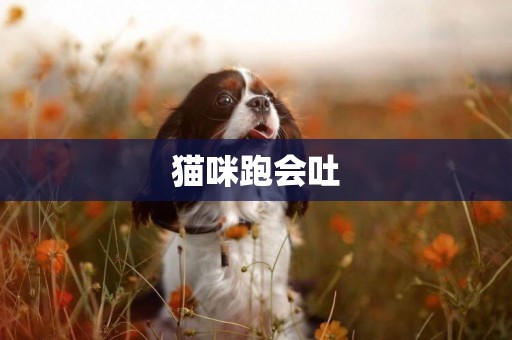 貓咪跑會吐