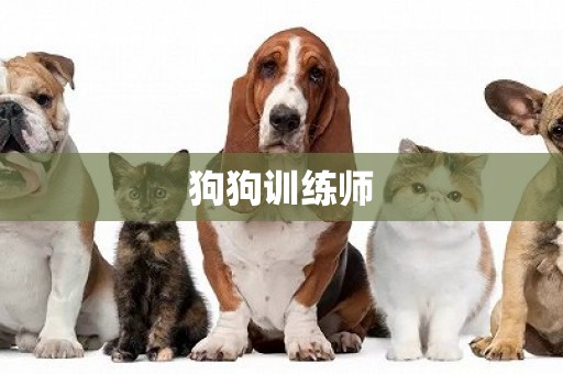 狗狗訓練師