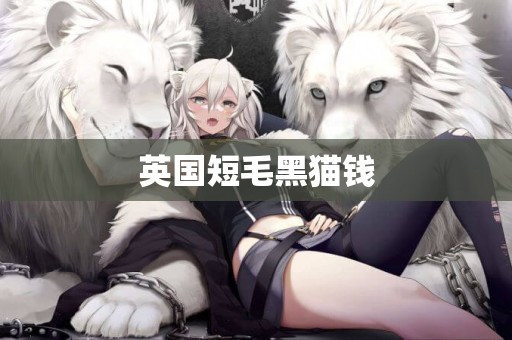 英國短毛黑貓錢