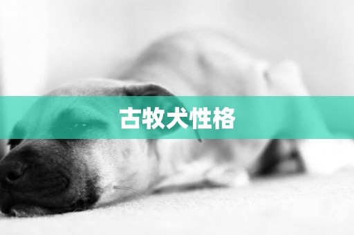 古牧犬性格