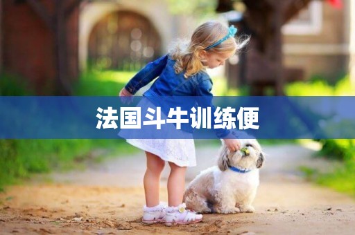 法國斗牛訓練便