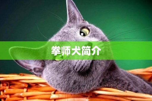 拳師犬簡介