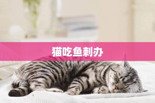 貓吃魚刺辦