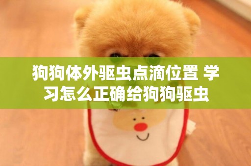 狗狗體外驅蟲點滴位置 學習怎么正確給狗狗驅蟲