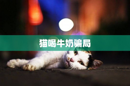 貓喝牛奶騙局