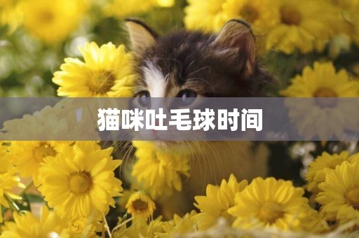 貓咪吐毛球時間