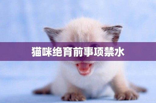 貓咪絕育前事項禁水