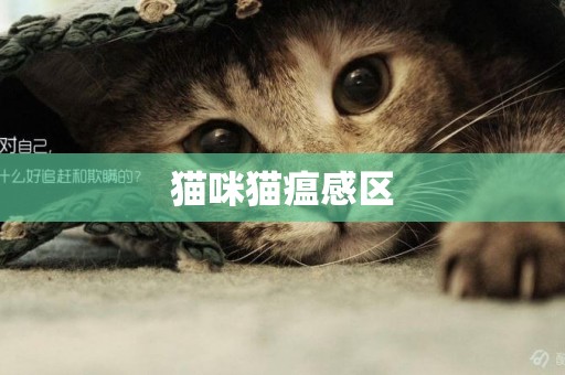 貓咪貓瘟感區