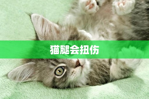 貓腿會扭傷