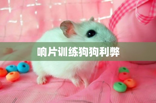 響片訓練狗狗利弊