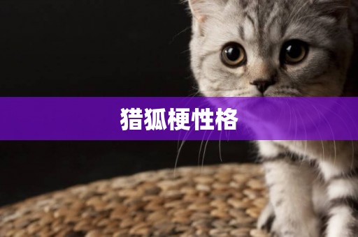 獵狐梗性格