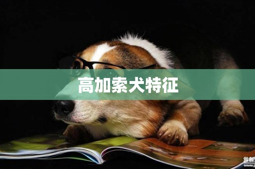 高加索犬特征