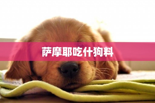 薩摩耶吃什狗料